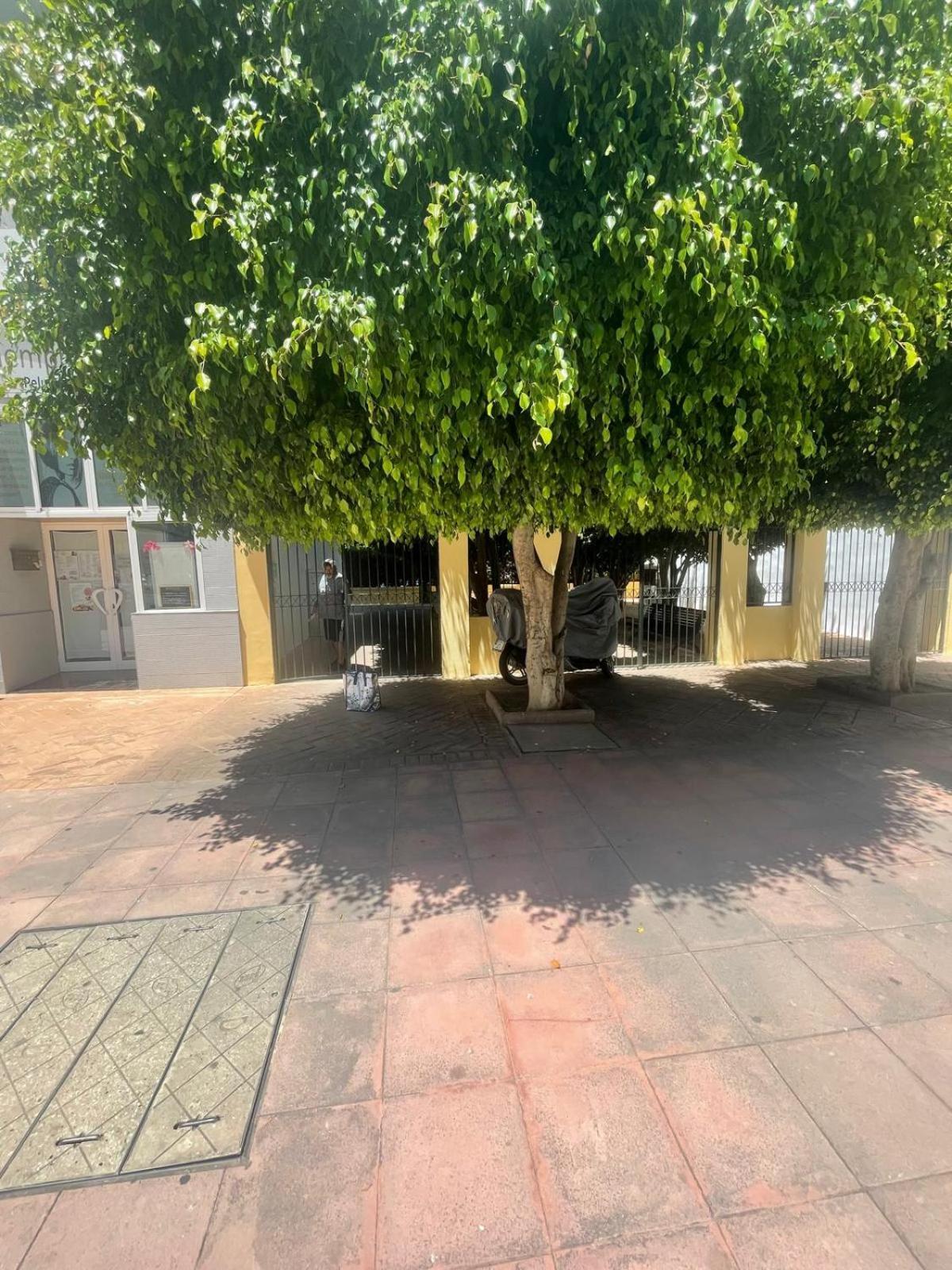 Apartamento Jardines Del Rocio ตอร์เรเดลมาร์ ภายนอก รูปภาพ